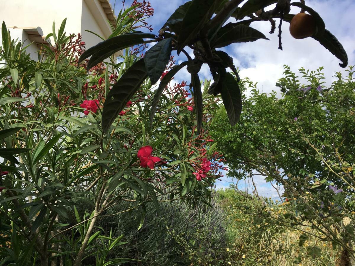 Casa Guerreiro Διαμέρισμα Λάγος Εξωτερικό φωτογραφία